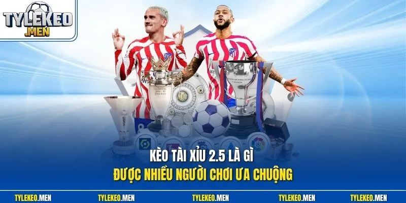 Kèo tài xỉu 2.5 là gì được nhiều người chơi ưa chuộng